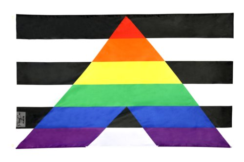 3x5FT Flag Straight Ally LGBTQ Straight Alliance Gay Pride Solidarity Rainbow