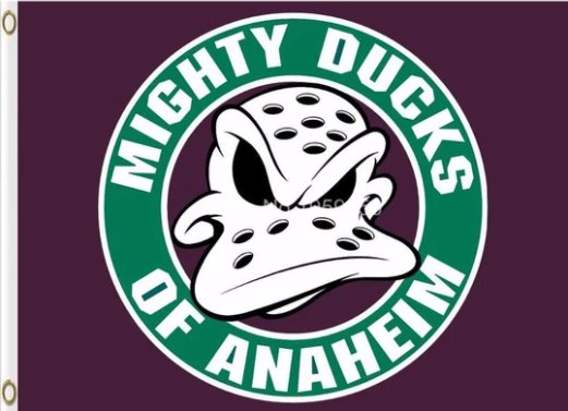 Anaheim Ducks Sport Flag 3X5Ft Polyester Digital Print Banner USA