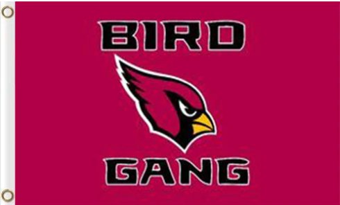 Arizona Cardinals BIRD GANG Flag 3X5 Ft Polyester Banner USA 90x150cm