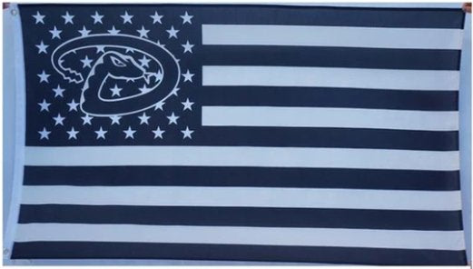 Arizona Diamondbacks US flag 3X5Ft Banner USA Polyester with Brass Grommets