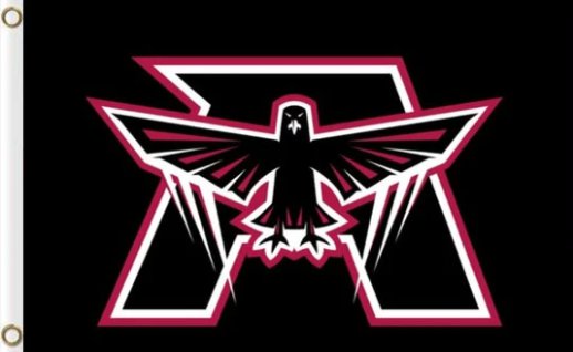 Atlanta Falcons Black US Flag 3X5 Ft Polyester Banner USA 90x150cm