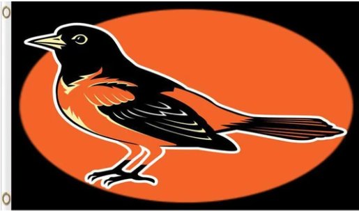 Baltimore Orioles Baseball Club flag 3X5Ft Banner USA Polyester with Brass Grommets - 20
