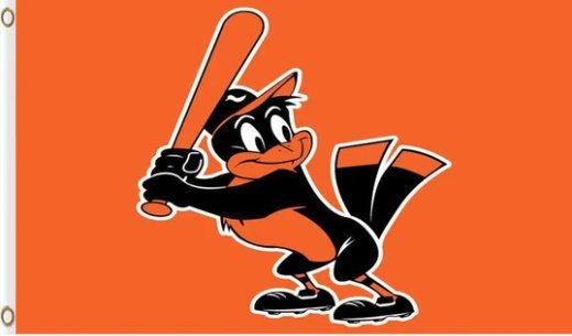 Baltimore Orioles Baseball Team Orange flag 3X5Ft Banner USA Polyester with Brass Grommets - 24