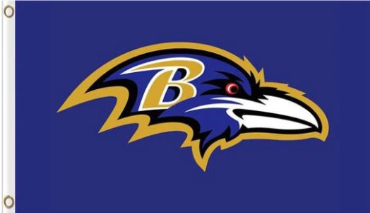 Baltimore Ravens Team Flag 3X5 Ft Polyester Banner USA 90x150cm