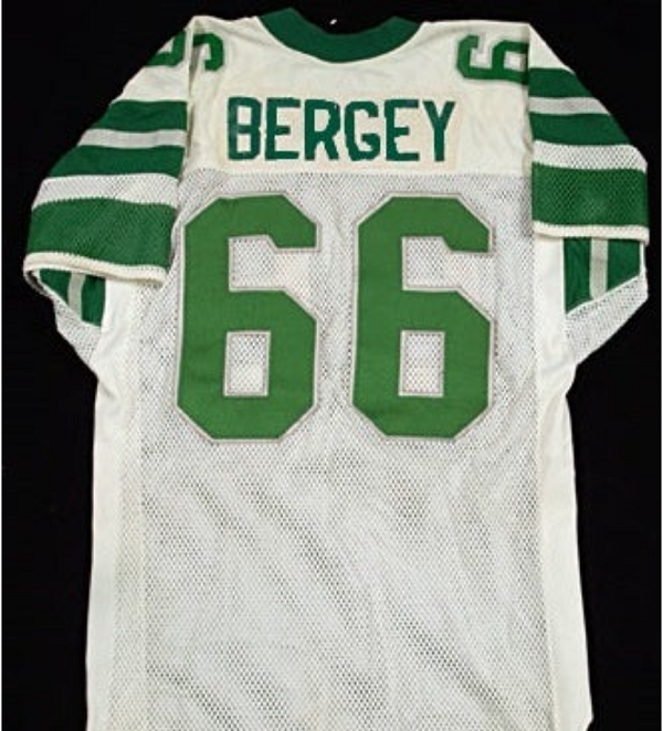 Bill Bergey Jersey Philadelphia Eagles Custom Throwback Football White