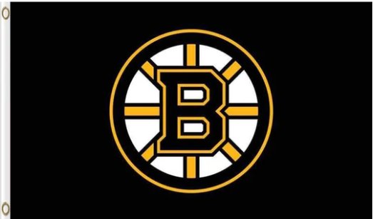 Boston Bruins Custom Black Flag 3X5Ft Polyester Digital Print Banner USA