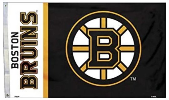 Boston Bruins Flag 3X5Ft Polyester Digital Print Banner USA