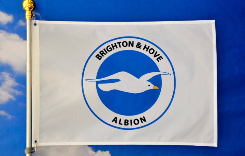 Brighton Football Club Flag White 3x5ft Banner polyester
