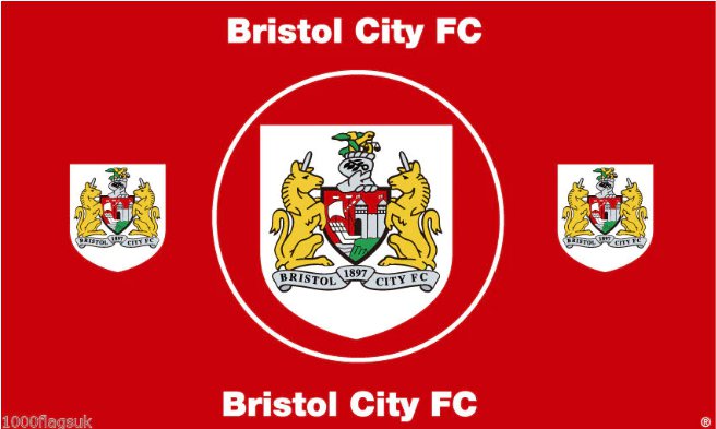 Bristol City Football Club Flag 3x5ft Banner polyester Red