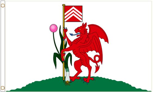 Cardiff City Wales Flag 3x5ft Banner Polyester