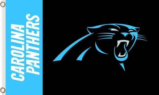 Carolina Panthers Black US Flag 3X5 Ft Polyester Banner USA 90x150cm