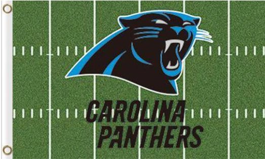 Carolina Panthers Green Flag 3X5 Ft Polyester Banner USA 90x150cm