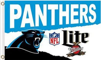 Carolina Panthers Lite Flag 3X5 Ft Polyester Banner USA 90x150cm