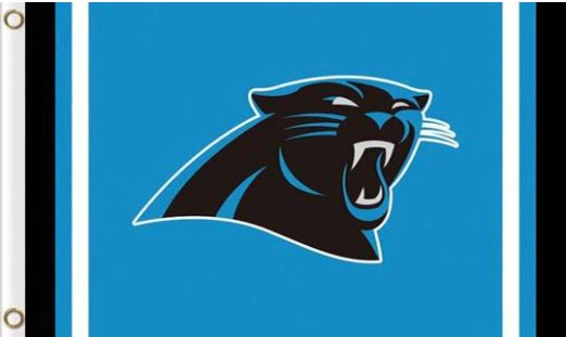 Carolina Panthers Logo Stripe Flag 3X5 Ft Polyester Banner USA 90x150cm