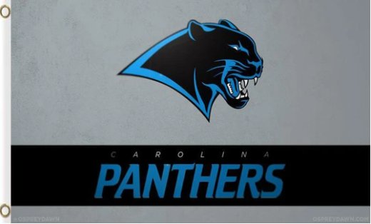 Carolina Panthers Logo US Flag 3X5 Ft Polyester Banner USA 90x150cm