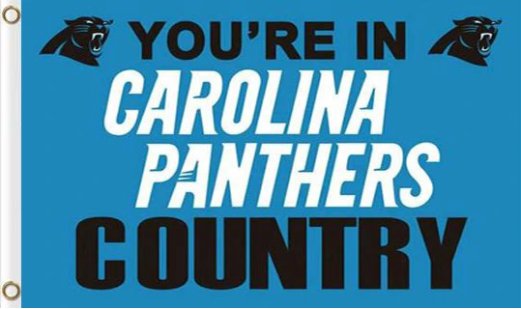Carolina Panthers Team Flag 3X5 Ft Polyester Banner USA 90x150cm