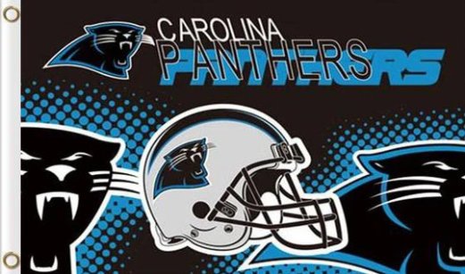Carolina Panthers Team Logo Flag 3X5 Ft Polyester Banner USA 90x150cm