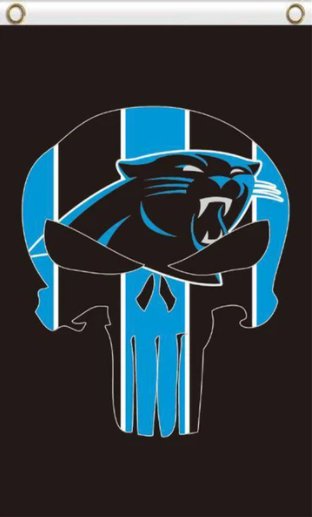 Carolina Panthers Vertical Flag 3X5 Ft Polyester Banner USA 90x150cm