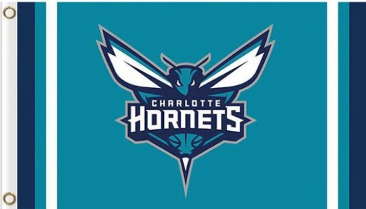 Charlotte Hornets Basketball Custom US Flag 3X5Ft Polyester Banner USA Digital Print