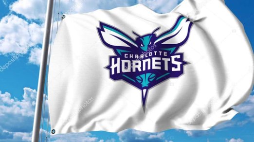 Charlotte Hornets Custom Flag 3X5Ft Polyester Banner USA Digital Print