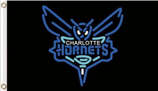Charlotte Hornets Custom US Flag 3X5Ft Polyester Banner USA Digital Print