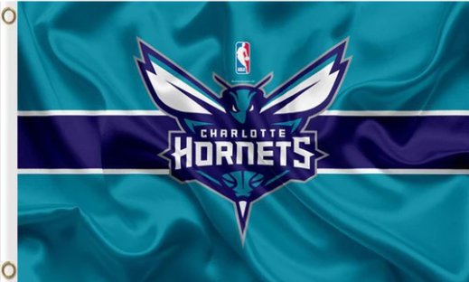Charlotte Hornets Sport Custom US Flag 3X5Ft Polyester Banner USA Digital Print