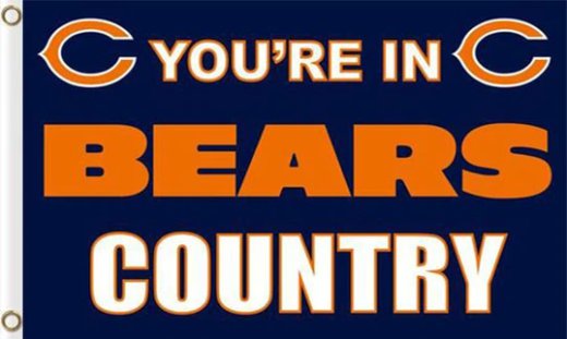 Chicago Bears Digital Sport Flag 3X5 Ft Polyester Banner USA 90x150cm
