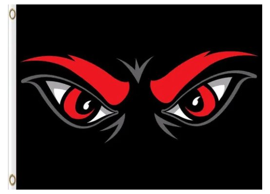 Cincinnati Bearcats Hand Black Flag 3X5ft Banner USA Polyester with 2 Brass Grommets