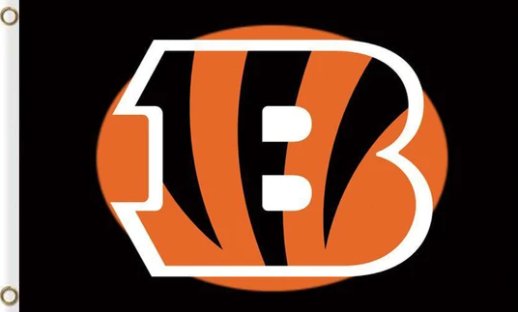 Cincinnati Bengals Black Flag 3X5 Ft Polyester Banner USA 90x150cm