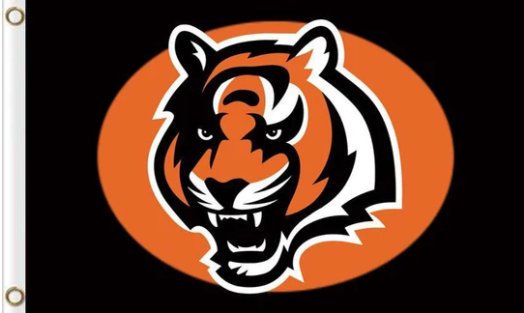 Cincinnati Bengals Football Flag 3X5 Ft Polyester Banner USA 90x150cm