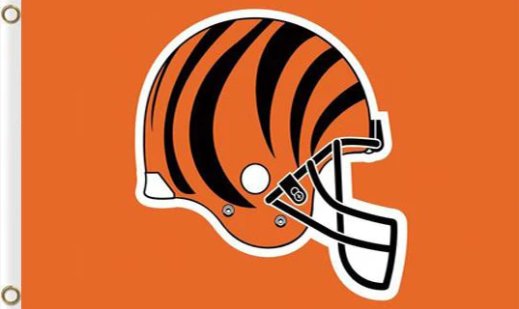 Cincinnati Bengals Helmet US Flag 3X5 Ft Polyester Banner USA 90x150cm