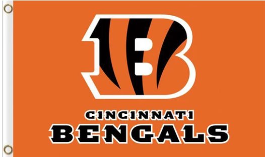 Cincinnati Bengals National Football Flag 3X5 Ft Polyester Banner USA 90x150cm