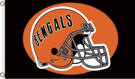 Cincinnati Bengals Team Flag 3X5 Ft Polyester Banner USA 90x150cm