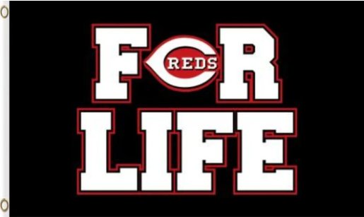 Cincinnati Reds For Life Flag 3X5Ft Banner USA Polyester with Brass Grommets