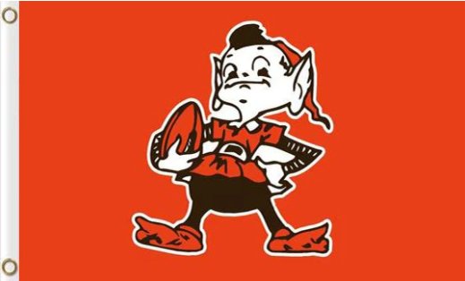 Cleveland Browns National Football Logo Flag 3X5 Ft Polyester Banner USA 90x150cm