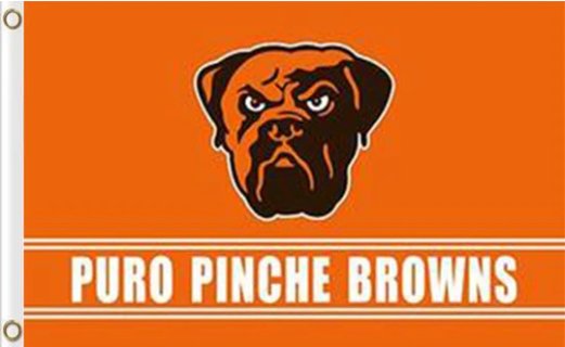 Cleveland Browns Puro Pinche Flag 3X5 Ft Polyester Banner USA 90x150cm