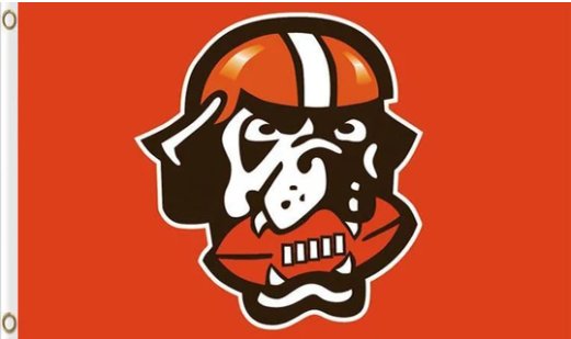 Cleveland Browns Team Flag 3X5 Ft Polyester Banner USA 90x150cm