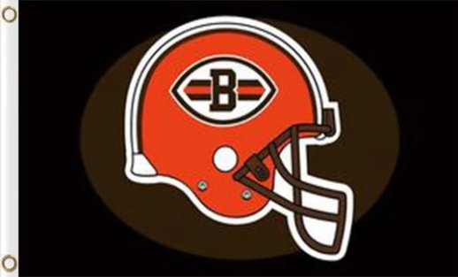 Cleveland Browns Team US Flag 3X5 Ft Polyester Banner USA 90x150cm