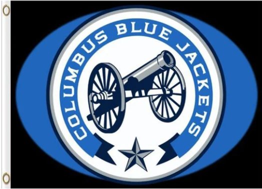 Columbus Blue Jackets Column Flag 3X5Ft Polyester Digital Print Banner USA
