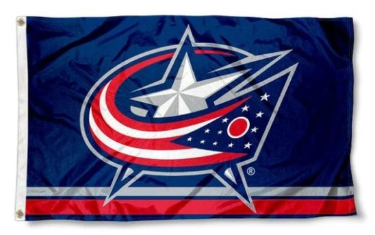 Columbus Blue Jackets Column Team Flag 3X5Ft Polyester Digital Print Banner USA