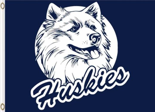 Connecticut Huskies Hand Blue Flag 3X5ft Banner Polyester with 2 Brass Grommets