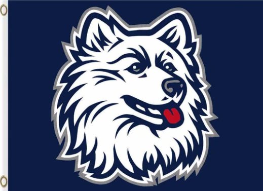 Connecticut Huskies Hand Flag 3X5ft Banner Polyester with 2 Brass Grommets