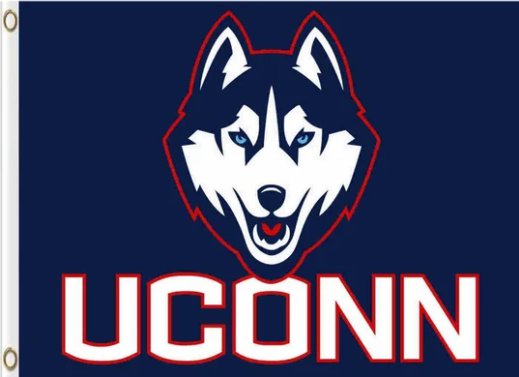 Connecticut Huskies Hand USA Flag 3X5ft Banner Polyester with 2 Brass Grommets