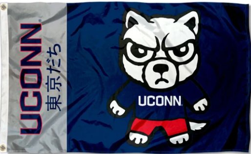 Connecticut Huskies Kawaii Tokyodachi Mascot Flag 3X5ft Banner Polyester with 2 Brass Grommets