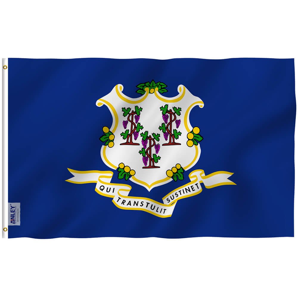Connecticut State Polyester Flag - Connecticut CT Flag with Brass Grommets 3X5Ft Banner USA