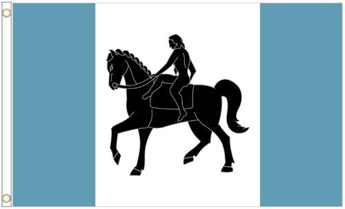 Coventry City Polyester White Flag 3x5ft Banner Polyester