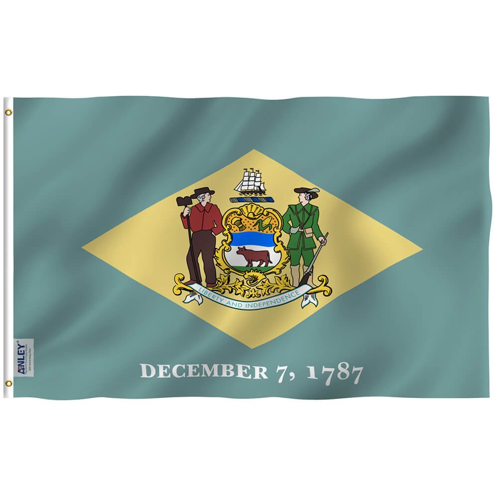 Delaware State Flag - Delaware DE Flag Polyester with Brass Grommets 3X5Ft Banner USA