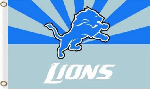Detroit Lions Flag 3X5 Ft Polyester Banner USA 90x150cm