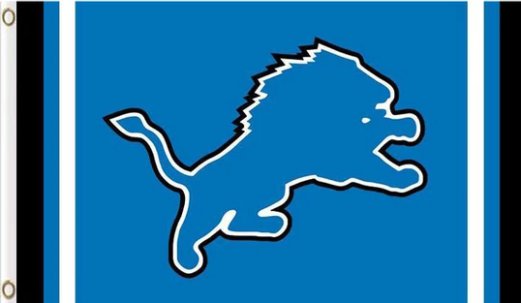 Detroit Lions Logo Two Strip Sport Flag 3X5 Ft Polyester Banner USA 90x150cm