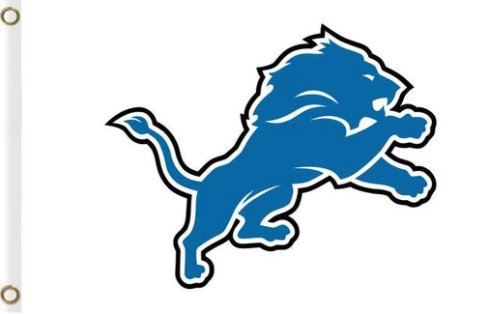 Detroit Lions Team Flag 3X5 Ft Polyester Banner USA 90x150cm